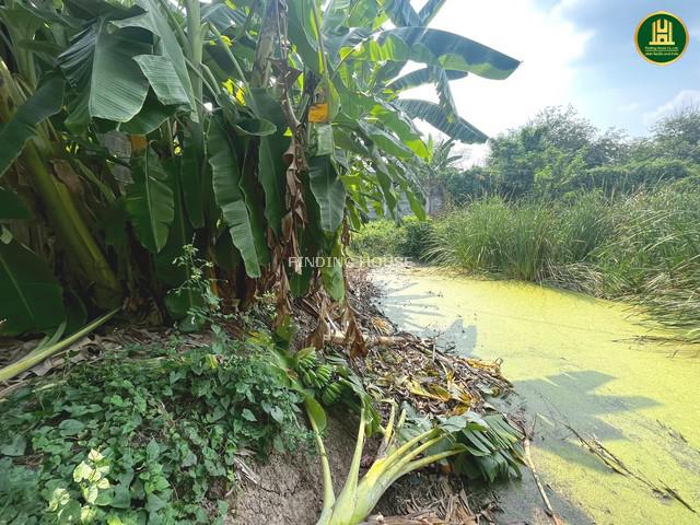 ที่ดิน 8700000 กรุงเทพมหานคร เขตสายไหม สายไหม