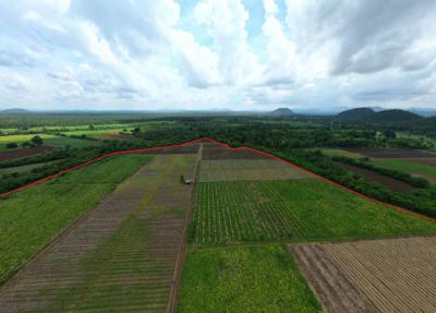 ที่ดิน 0 กาญจนบุรี เมืองกาญจนบุรี วังด้ง