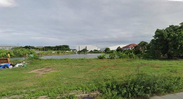 ที่ดิน 98000000 สมุทรปราการ บางพลี บางโฉลง