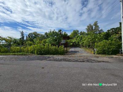 บ้านเดี่ยว 1650000 นครนายก องครักษ์ พระอาจารย์