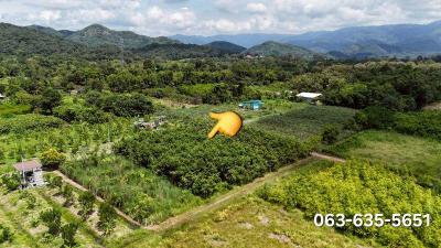 ที่ดิน 2850000 สระบุรี แก่งคอย ชะอม