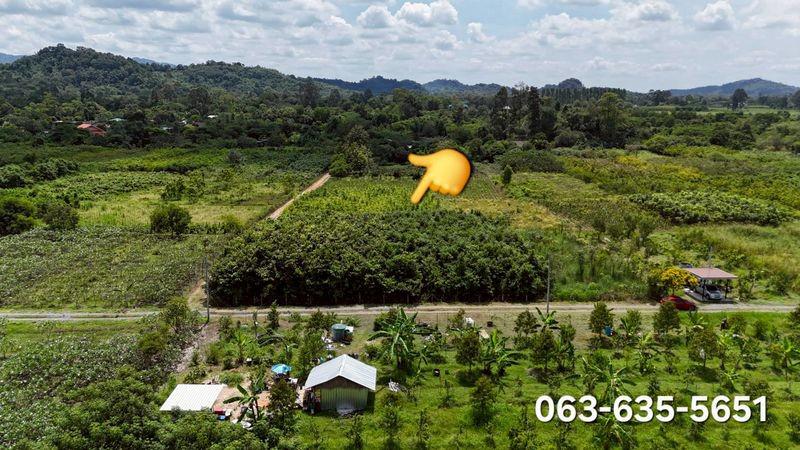 ที่ดิน 2850000 สระบุรี แก่งคอย ชะอม