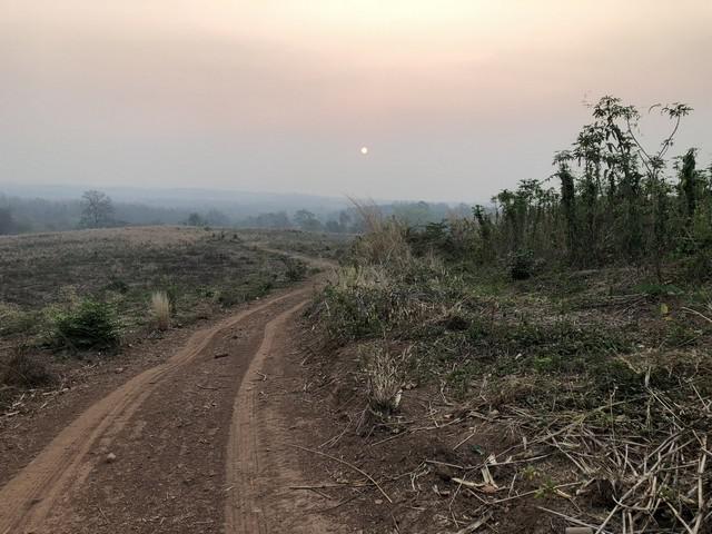 ที่ดิน 250000 เพชรบูรณ์ หล่มเก่า หล่มเก่า