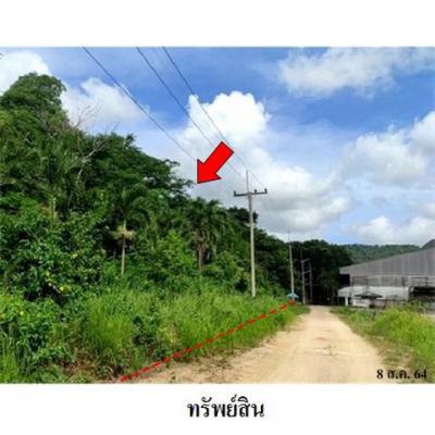 ที่ดิน 14147000 ระยอง กิ่งอำเภอนิคมพัฒนา มะขามคู่