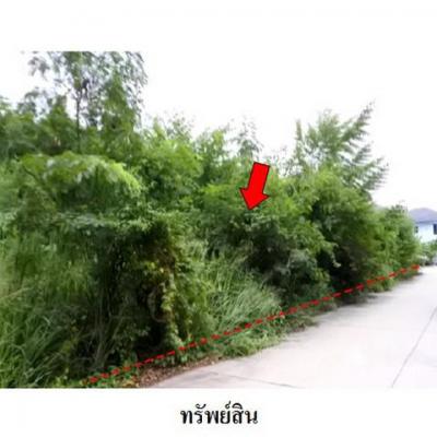 ที่ดิน 3271000 ระยอง เมืองระยอง ทับมา