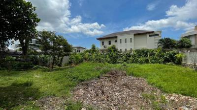 ที่ดิน 72000000 กรุงเทพมหานคร เขตวัฒนา พระโขนงเหนือ