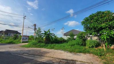 ที่ดิน 1290000 สุราษฎร์ธานี เมืองสุราษฎร์ธานี มะขามเตี้ย