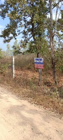 ที่ดิน 300000 ตาก บ้านตาก ตากตก