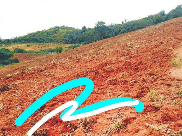 ที่ดิน 250000 เพชรบูรณ์ หล่มเก่า หล่มเก่า