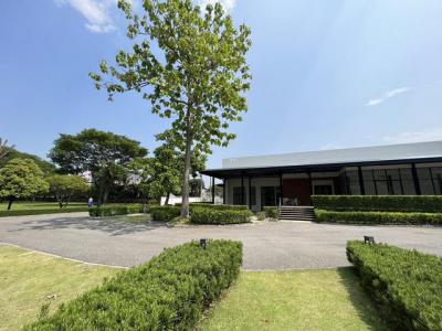 ที่ดิน 687680000 เชียงใหม่ เมืองเชียงใหม่ ช้างเผือก