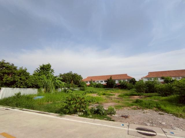 ที่ดิน 10000000 สมุทรปราการ บางพลี บางพลีใหญ่