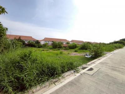 ที่ดิน 42325000 สมุทรปราการ บางพลี บางพลีใหญ่