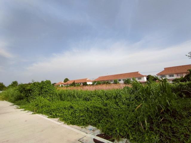 ที่ดิน 42325000 สมุทรปราการ บางพลี บางพลีใหญ่