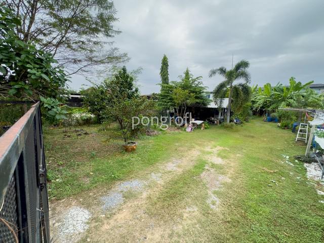 ที่ดิน 7920000 กรุงเทพมหานคร เขตบางเขน ท่าแร้ง