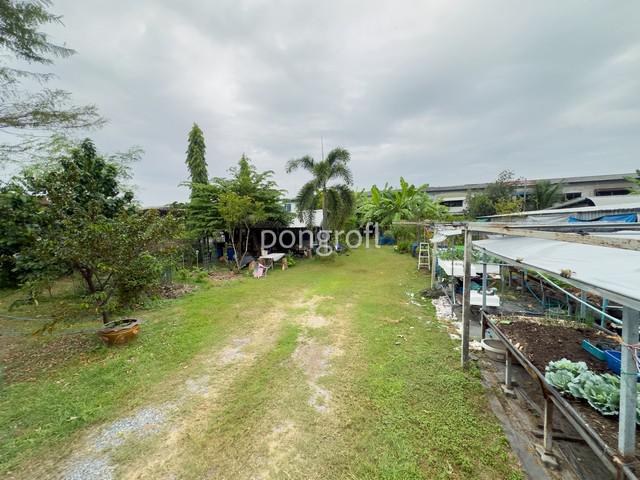 ที่ดิน 7920000 กรุงเทพมหานคร เขตบางเขน ท่าแร้ง