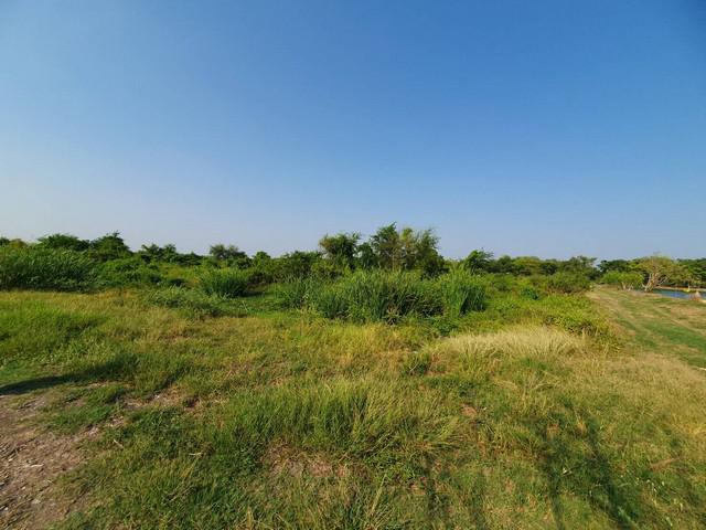 ที่ดิน 2200000 นครปฐม เมืองนครปฐม ถนนขาด