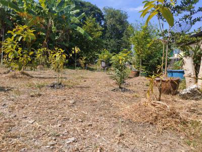 ที่ดิน 9300000 กรุงเทพมหานคร เขตบางเขน อนุสาวรีย์