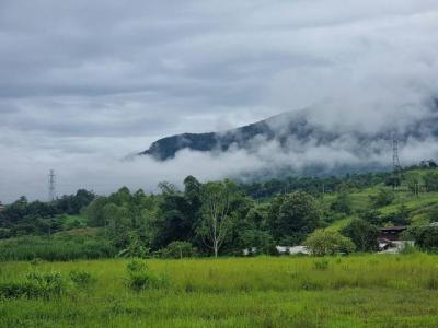 ที่ดิน 35000000 เพชรบูรณ์ เขาค้อ แคมป์สน