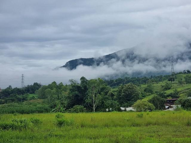 ที่ดิน 35000000 เพชรบูรณ์ เขาค้อ แคมป์สน