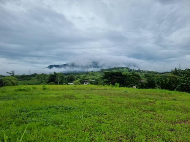 ที่ดิน 35000000 เพชรบูรณ์ เขาค้อ แคมป์สน