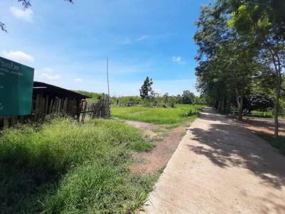 ที่ดิน 3000000 เพชรบูรณ์ ชนแดน บ้านกล้วย