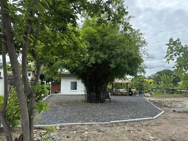 ที่ดิน 26996000 กรุงเทพมหานคร เขตบางเขน ท่าแร้ง