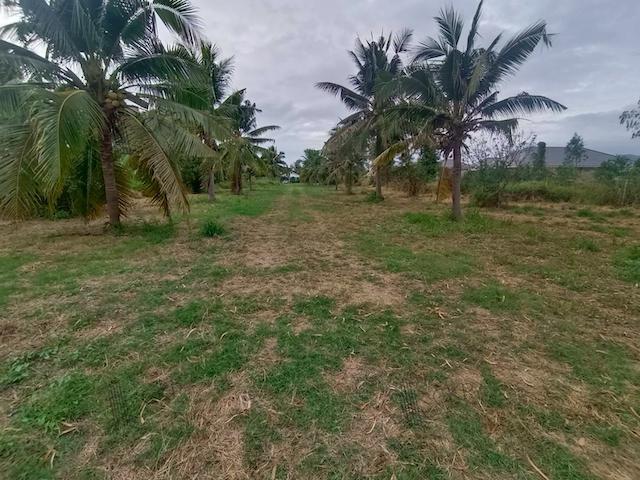 ที่ดิน 14000000 ประจวบคีรีขันธ์ หัวหิน หินเหล็กไฟ