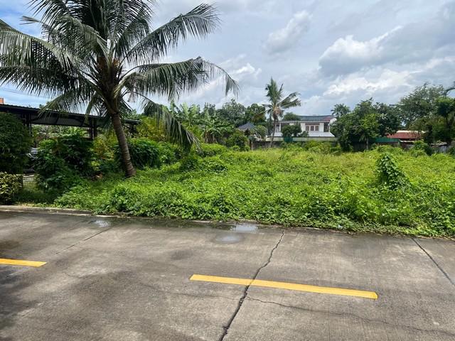 ที่ดิน 15225000 นนทบุรี เมืองนนทบุรี ท่าทราย