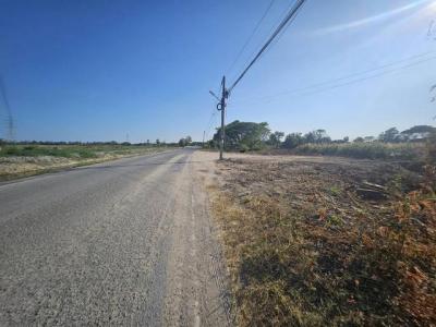 ที่ดิน 6000000 ชลบุรี พานทอง มาบโป่ง