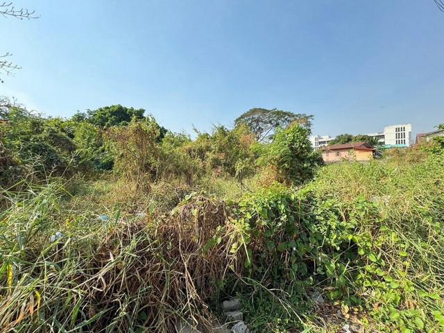 ที่ดิน 96000 กรุงเทพมหานคร เขตบางกะปิ คลองจั่น