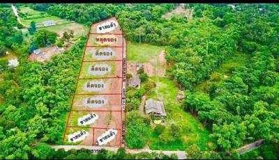 ที่ดิน 840000 นครนายก เมืองนครนายก ดงละคร