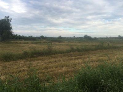 ที่ดิน 23874500 ชลบุรี พนัสนิคม นาเริก