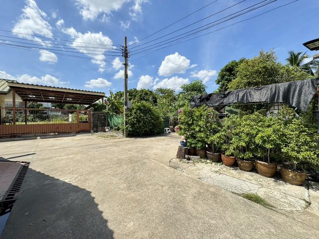 ที่ดิน 24000000 กรุงเทพมหานคร เขตบางแค บางแค