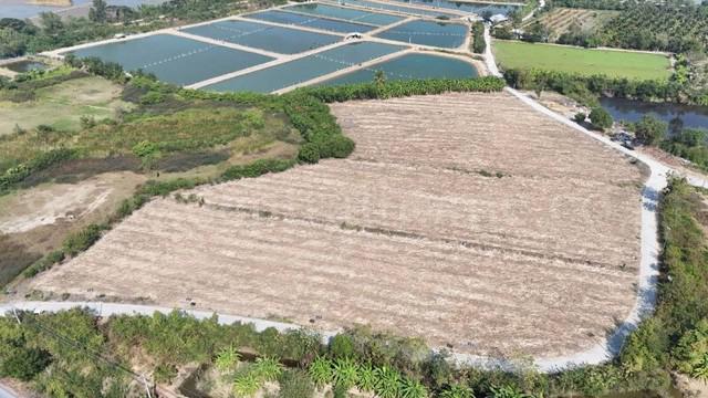 ที่ดิน 10000000 นครปฐม กำแพงแสน ห้วยม่วง