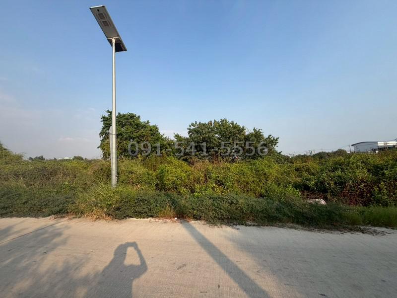 ที่ดิน 48000000 สมุทรปราการ พระสมุทรเจดีย์ บ้านคลองสวน