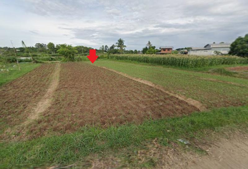 ที่ดิน 0 ขอนแก่น เมืองขอนแก่น ศิลา