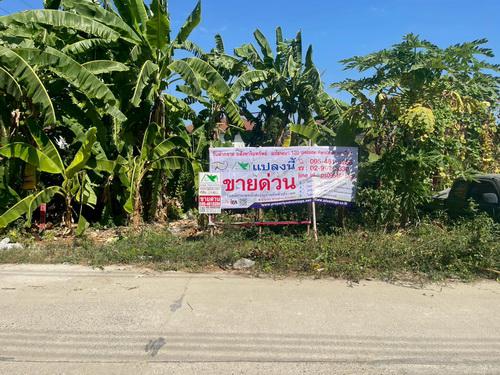 ที่ดิน 2450000 ปทุมธานี คลองหลวง คลองหนึ่ง