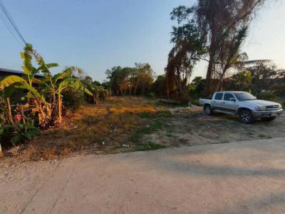 ที่ดิน 5200000 ชลบุรี บางละมุง ห้วยใหญ่