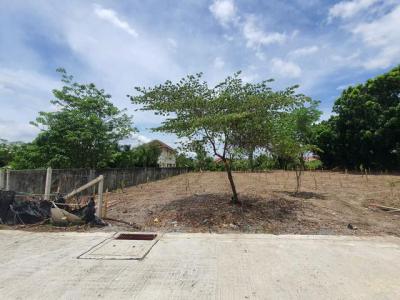 ที่ดิน 9367000 นครปฐม สามพราน บางกระทึก