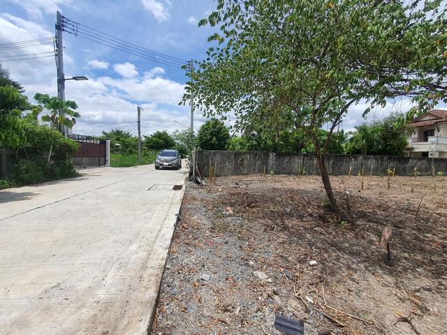 ที่ดิน 9367000 นครปฐม สามพราน บางกระทึก