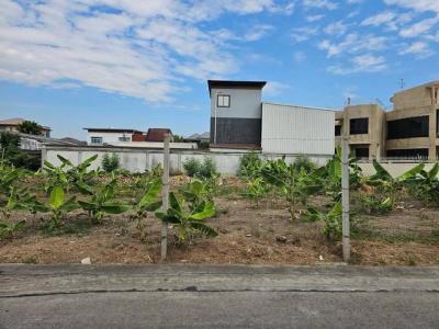 ที่ดิน 40000 กรุงเทพมหานคร เขตลาดพร้าว ลาดพร้าว