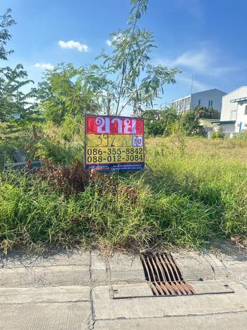 ที่ดิน 25000000 กรุงเทพมหานคร เขตประเวศ ดอกไม้