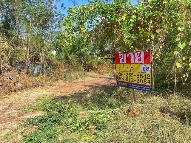 ที่ดิน 2520000 ปทุมธานี ธัญบุรี รังสิต