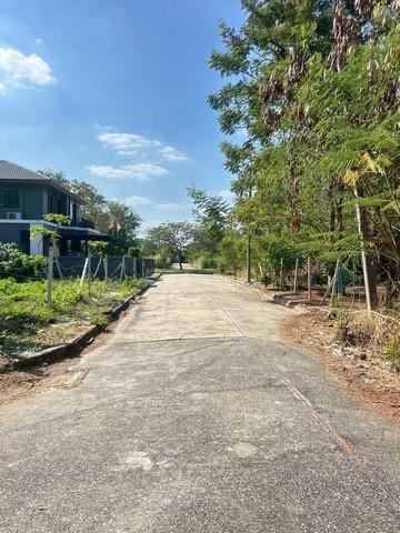 ที่ดิน 2520000 ปทุมธานี ธัญบุรี รังสิต