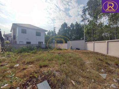 ที่ดิน 40000 ชลบุรี เมืองชลบุรี บ้านสวน