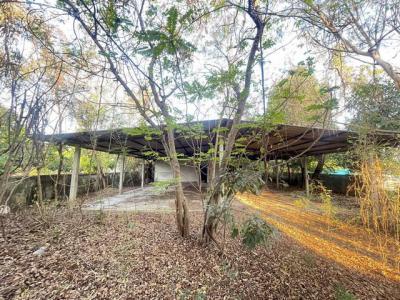 บ้านเดี่ยว 2190000 ลำพูน เมืองลำพูน ประตูป่า