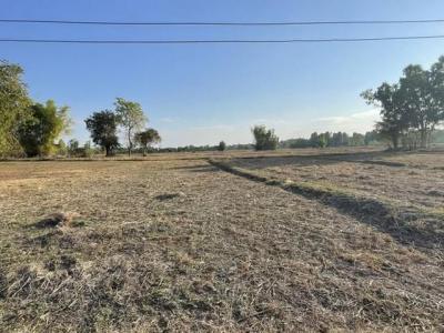 ที่ดิน 3900000 หนองคาย เมืองหนองคาย หาดคำ