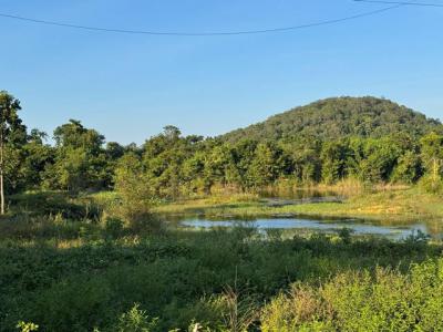 ที่ดิน 4990000 ราชบุรี โพธาราม เขาชะงุ้ม