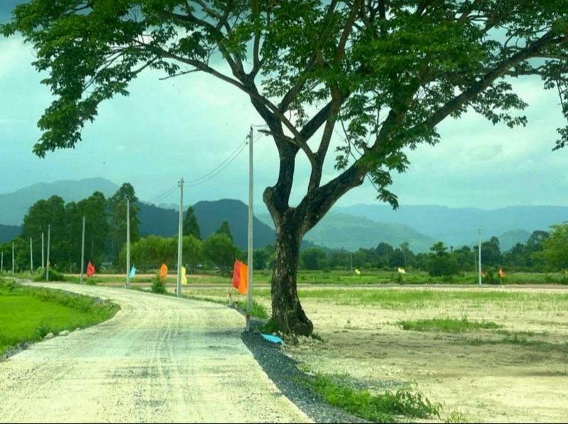 ที่ดิน 990000 นครนายก เมืองนครนายก พรหมณี