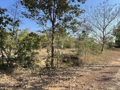 ที่ดิน 4500000 หนองคาย เมืองหนองคาย วัดธาตุ